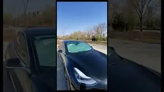 Car Umbrella#shorts #youtubeshorts #shortvideo