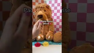 Surprise LUX mystery jellycat 😍 #jellycat #retired