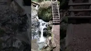 Best Bay Area Hike #best #waterfall #hiking #family #epicpartner #instagram #youtubeshorts