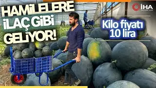 Kışın Üretilen Karpuz Üreticinin Yeni Kazanç Kapısı Oldu