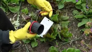 BIO trap for vole