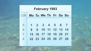 February 1993 Calendar