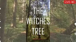 HauntingLive Podcast -The Witches Tree Salem Cemetery