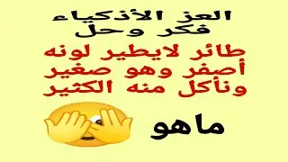 العز الأذكياء فكر وحل 🫣