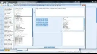 How to Run and Interpret a Chi-Square Test in SPSS