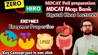 What are Enzymes || Properties of Enzymes || What are Co factors? #Enzymes #Cofactors #biology 