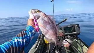 Te vienes de pesca???😉 #fishing #pesca#jigging#kayak #ocean#mar #canarias#tenerife #spinning #viral 