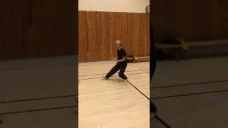 Tai Chi 24 Master Wang Ge worldclass