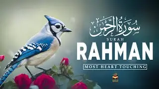 Surah Ar Rahman سورة الرحمن | Soothing Quran Recitation for Inner Peace #surahrahman