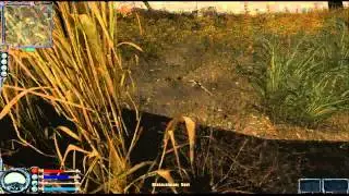 S T A L K E R  Golden Mod 4 Сезон 1 Серия 16 КРОВОСОС
