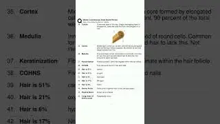 88k 1682601059 milady cosmetology state board review
