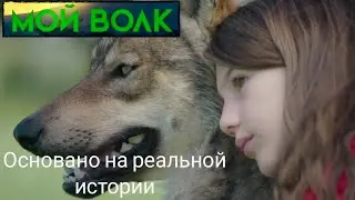 Мой волк 📺 Myst&egrave;re / Русский трейлер 2021 / Фильм 2021 года