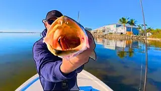INSANE Shallow Water Action! Spring Flats Fishing at Its Best!