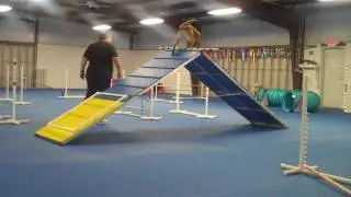 Surge A-Frame 3-13-10