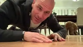 Push-up Progression by doing Negative push-ups
