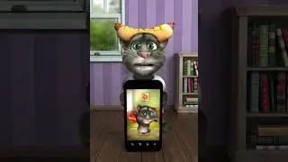 Talking Tom 2 