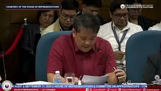 COA chief: 'Potential conflict of interest' in commissioner's wife bagging DPWH projects
