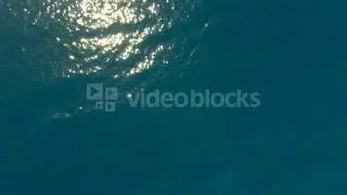 epic blue ocean water surface aerial view rm3c4div