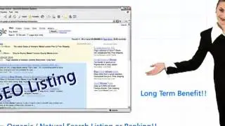 why SEO & PPC  seoguru-presentation-3.mp4