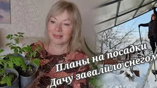 Приехали домой Скоро сеять  Планирую посадки Как раньше не будет. Дачу завалило снегом
