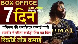 Animal Box Office Collection Day 7 Animal 7th Day Collection Animal Box Office Collections