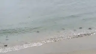 Joint Point Beach Cape Peron | Soothing ocean waves | Nature & Peace | Perth Australia 
