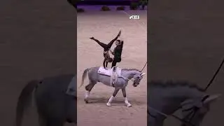 Ready for some Vaulting perfection? 😍