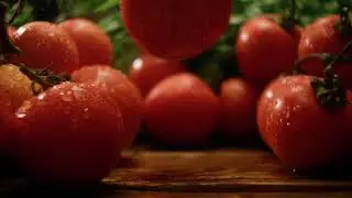 tomatoes stock footage in 4K 4K