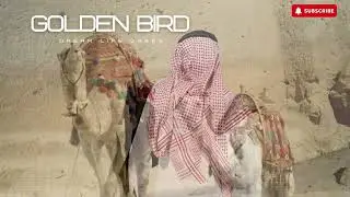 Golden Bird | Arabic Club Anthem | Ethnic House Vibes
