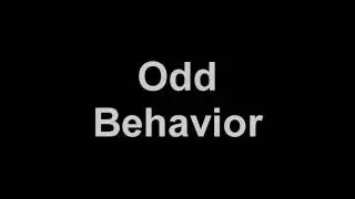 Odd Dog Behavior