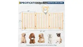 Paint-Free Wooden Freestanding Dog Gate Review: A Safe, Stylish Solution for Your Home.