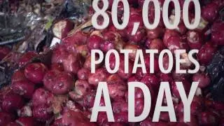 Love Food Hate Waste