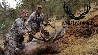 Oregon Elk Rut Mayhem! BUGLE FEST!!! Big Bull Down!