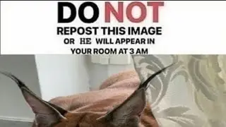 SCARY VIDEO!!!!!