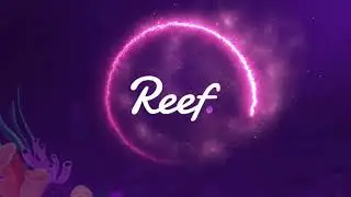 Unlock the Power of Developer Incentives on Reef Chain