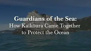 Guardians of the Sea - How Kaikōura&rsquo;s community came together to protect the ocean