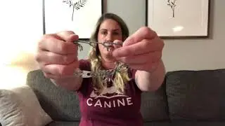 How to properly fit a Herm Sprenger Prong collar