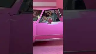 Omercho Style - Moe bebe 2023