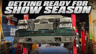 Getting Ready For Show Season Moco Goes Under The Knife