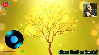 Chem Banii cu Lumină - Mantra - Ionuț Viorel Baba - Manifestă bani rapid
