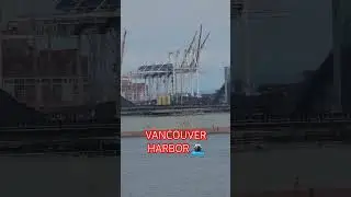Vancouver Harbor #shortsvideo #ship #coal