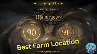 Mandragora - Best farm location
