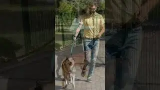 Explorando nuevos parques para perros en diferentes ciudades