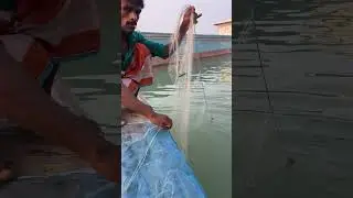 Fishermen catching fish with a net trap from the mighty Padma River &mdash; power, patience, and tradition