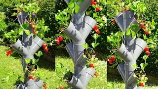 Comment réaliser facilement une tour à fraise. Tour à fraise pvc.