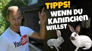 TIPPS! 💡 Wenn man Kaninchen besitzen möchte! 🐇 | Schustrich S 2.0 ⭐