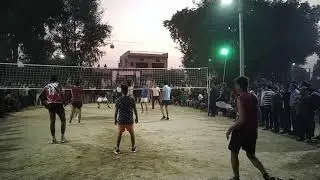 🏐 pro volleyball match