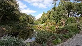 Trebah Gardens   October 2025