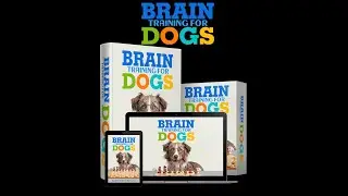 How To Train Your Dog| Home And Garden Channel