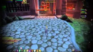 Debilas - Level 29 Feral Druid Twink PvP - WoD Patch 6.1.2